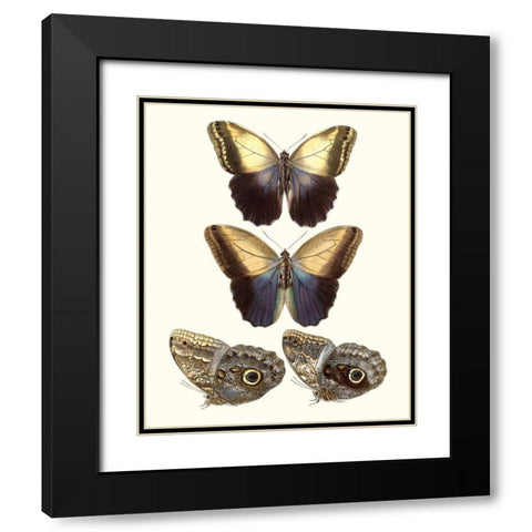 Violet Butterflies III Black Modern Wood Framed Art Print with Double Matting by Unknown