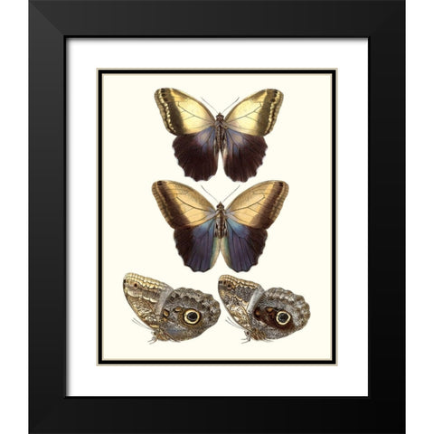 Violet Butterflies III Black Modern Wood Framed Art Print with Double Matting by Unknown