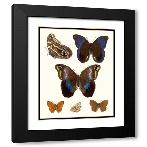 Violet Butterflies IV Black Modern Wood Framed Art Print with Double Matting by Unknown