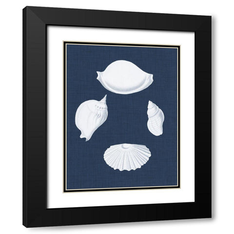 Coquillages Blancs I Black Modern Wood Framed Art Print with Double Matting by Vision Studio