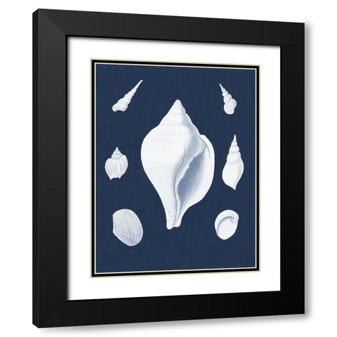 Coquillages Blancs II Black Modern Wood Framed Art Print with Double Matting by Vision Studio