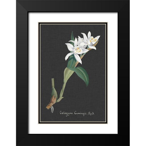 Orchid on Slate III Black Modern Wood Framed Art Print with Double Matting by Vision Studio