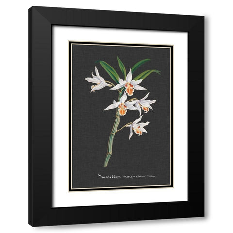 Orchid on Slate IV Black Modern Wood Framed Art Print with Double Matting by Vision Studio