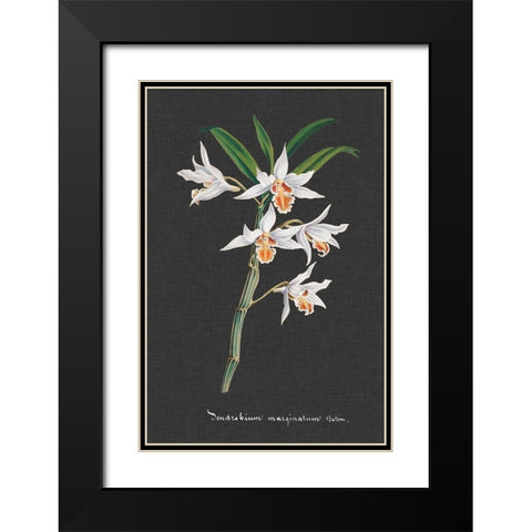 Orchid on Slate IV Black Modern Wood Framed Art Print with Double Matting by Vision Studio