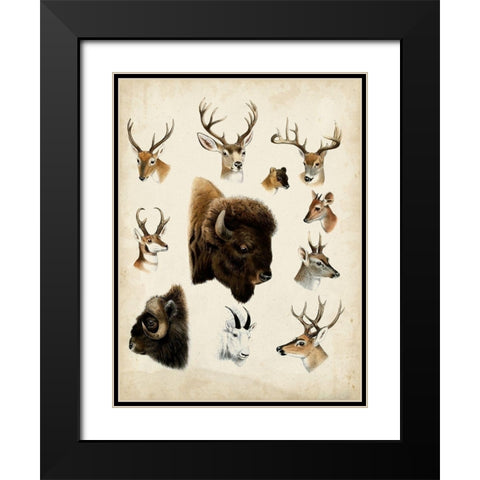 Western Animal Species I Black Modern Wood Framed Art Print with Double Matting by Unknown