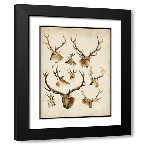 Western Animal Species II Black Modern Wood Framed Art Print with Double Matting by Unknown