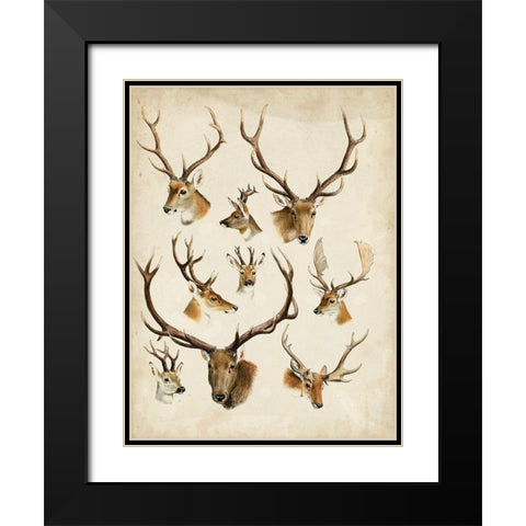 Western Animal Species II Black Modern Wood Framed Art Print with Double Matting by Unknown