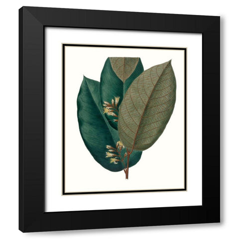 Fall Foliage I Black Modern Wood Framed Art Print with Double Matting by Unknown