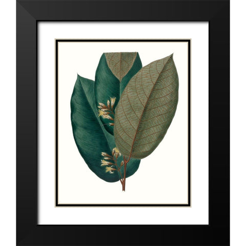 Fall Foliage I Black Modern Wood Framed Art Print with Double Matting by Unknown