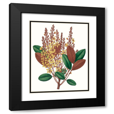 Fall Foliage II Black Modern Wood Framed Art Print with Double Matting by Unknown
