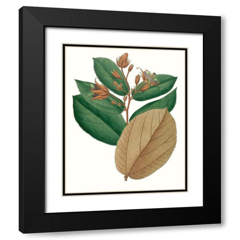 Fall Foliage III Black Modern Wood Framed Art Print with Double Matting by Unknown