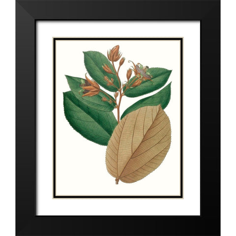 Fall Foliage III Black Modern Wood Framed Art Print with Double Matting by Unknown