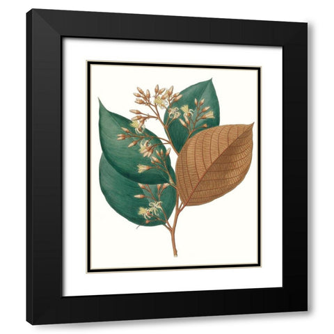 Fall Foliage V Black Modern Wood Framed Art Print with Double Matting by Unknown