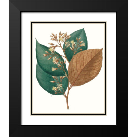 Fall Foliage V Black Modern Wood Framed Art Print with Double Matting by Unknown