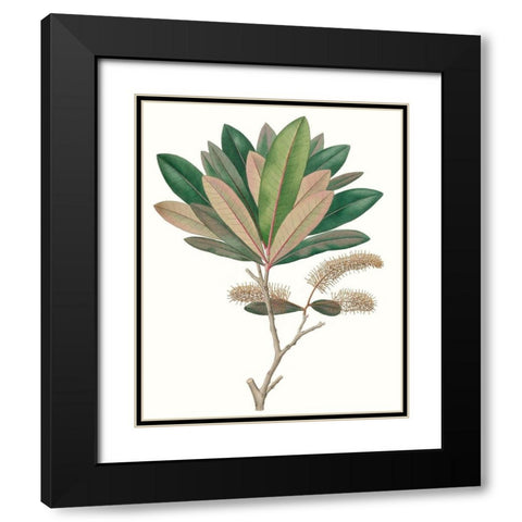 Fall Foliage VI Black Modern Wood Framed Art Print with Double Matting by Unknown