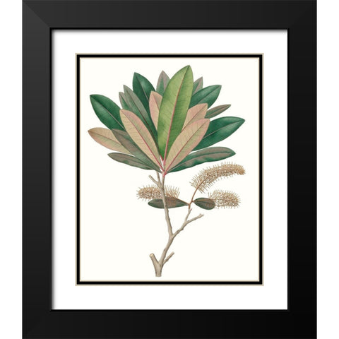 Fall Foliage VI Black Modern Wood Framed Art Print with Double Matting by Unknown