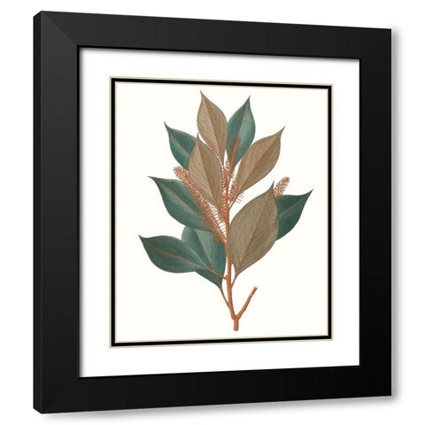 Fall Foliage VII Black Modern Wood Framed Art Print with Double Matting by Unknown