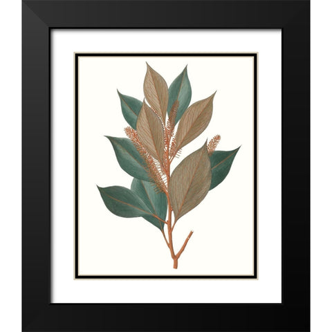 Fall Foliage VII Black Modern Wood Framed Art Print with Double Matting by Unknown