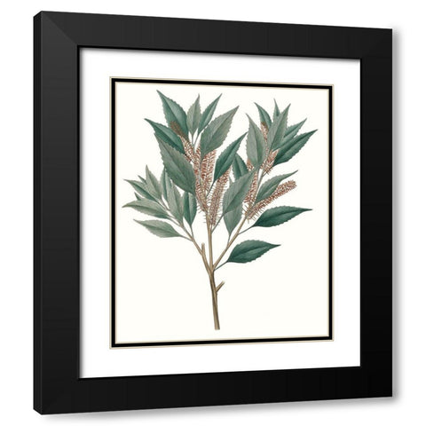 Fall Foliage VIII Black Modern Wood Framed Art Print with Double Matting by Unknown