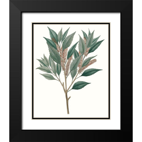 Fall Foliage VIII Black Modern Wood Framed Art Print with Double Matting by Unknown