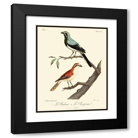 Vintage French Birds II Black Modern Wood Framed Art Print with Double Matting by de Langlois