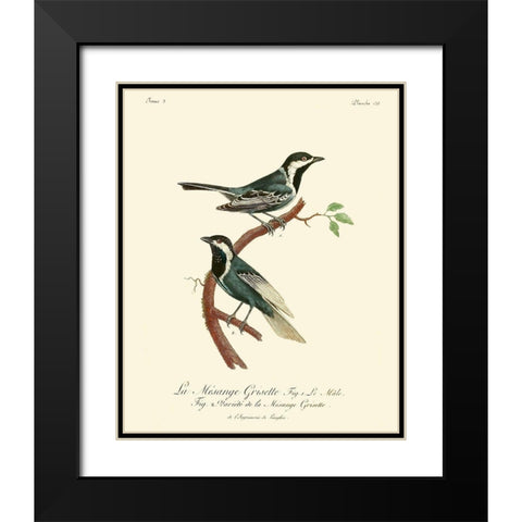 Vintage French Birds III Black Modern Wood Framed Art Print with Double Matting by de Langlois