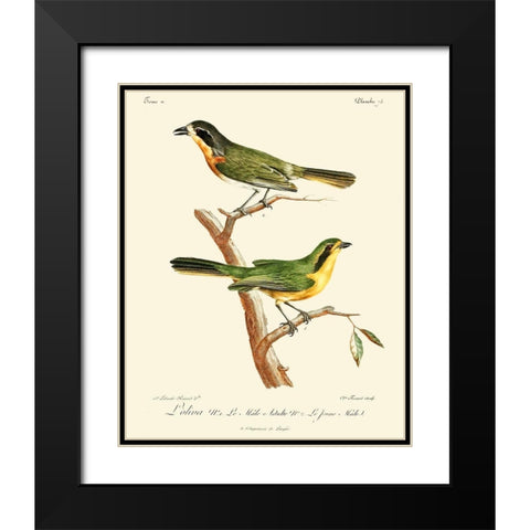 Vintage French Birds VI Black Modern Wood Framed Art Print with Double Matting by de Langlois