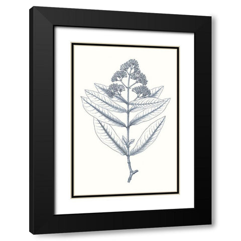 Indigo Botany Study I Black Modern Wood Framed Art Print with Double Matting by Vision Studio