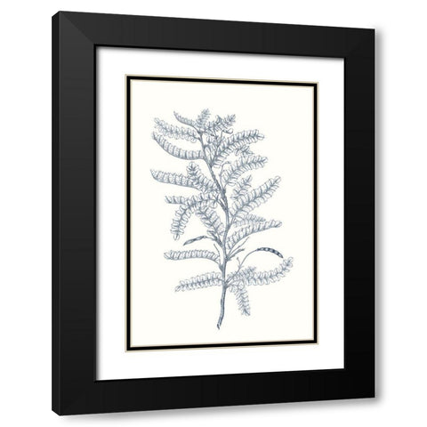 Indigo Botany Study II Black Modern Wood Framed Art Print with Double Matting by Vision Studio