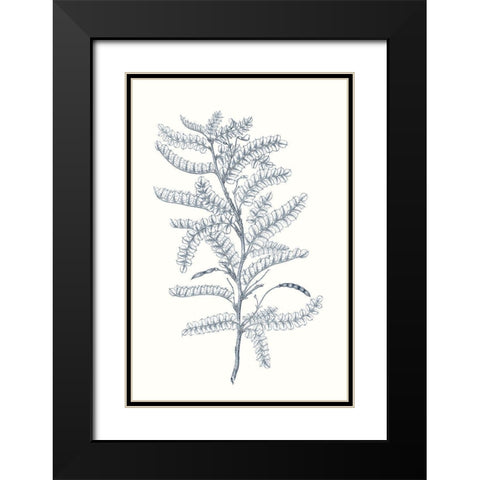 Indigo Botany Study II Black Modern Wood Framed Art Print with Double Matting by Vision Studio