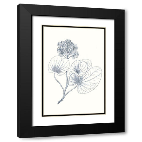 Indigo Botany Study IV Black Modern Wood Framed Art Print with Double Matting by Vision Studio