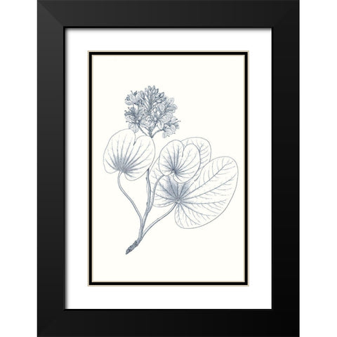 Indigo Botany Study IV Black Modern Wood Framed Art Print with Double Matting by Vision Studio