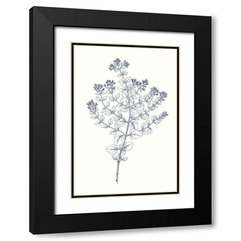 Indigo Botany Study VI Black Modern Wood Framed Art Print with Double Matting by Vision Studio