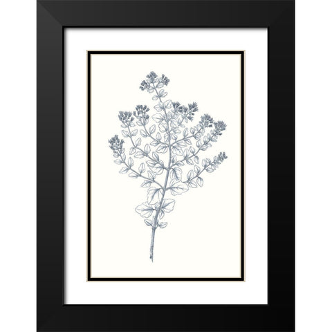 Indigo Botany Study VI Black Modern Wood Framed Art Print with Double Matting by Vision Studio