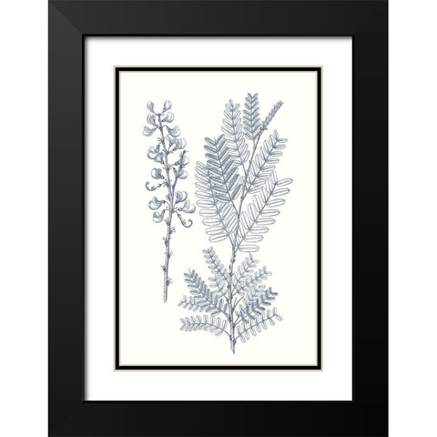 Indigo Botany Study VII Black Modern Wood Framed Art Print with Double Matting by Vision Studio