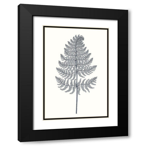 Indigo Botany Study VIII Black Modern Wood Framed Art Print with Double Matting by Vision Studio