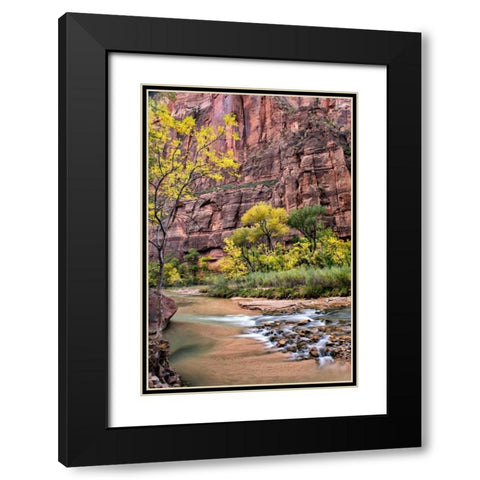 Zion Autumn II Black Modern Wood Framed Art Print with Double Matting by Head, Danny