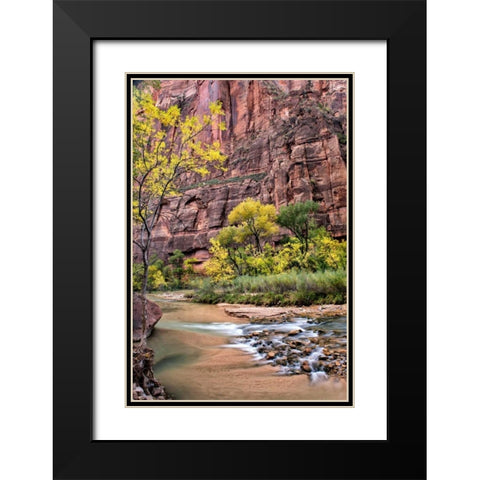 Zion Autumn II Black Modern Wood Framed Art Print with Double Matting by Head, Danny