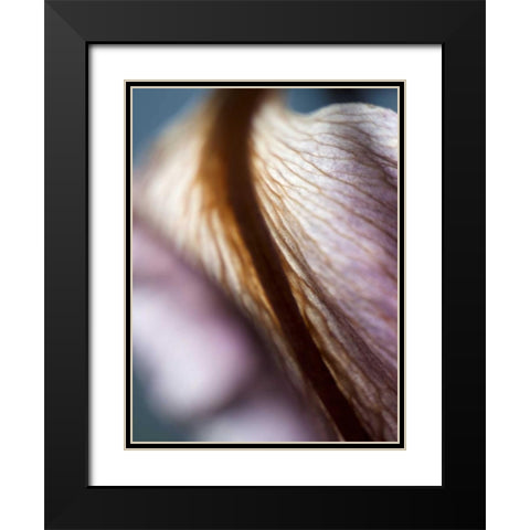 Lily Dusk II Black Modern Wood Framed Art Print with Double Matting by Nourock, Jonathan