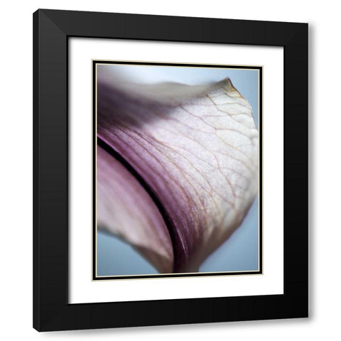 Lily Dusk III Black Modern Wood Framed Art Print with Double Matting by Nourock, Jonathan