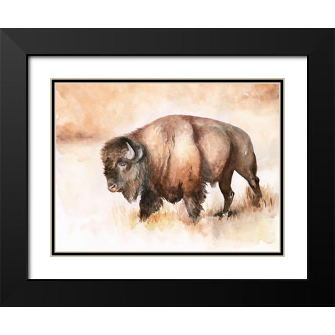 Buffalo Roam I Black Modern Wood Framed Art Print with Double Matting by Parker, Jennifer Paxton