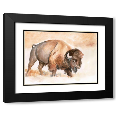 Buffalo Roam II Black Modern Wood Framed Art Print with Double Matting by Parker, Jennifer Paxton