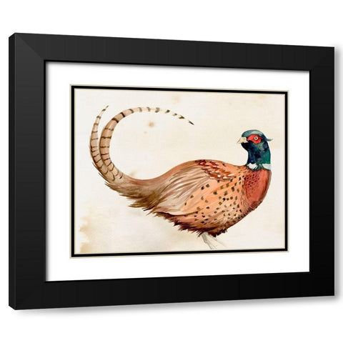Pheasantry I Black Modern Wood Framed Art Print with Double Matting by Parker, Jennifer Paxton