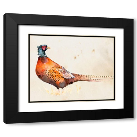 Pheasantry II Black Modern Wood Framed Art Print with Double Matting by Parker, Jennifer Paxton