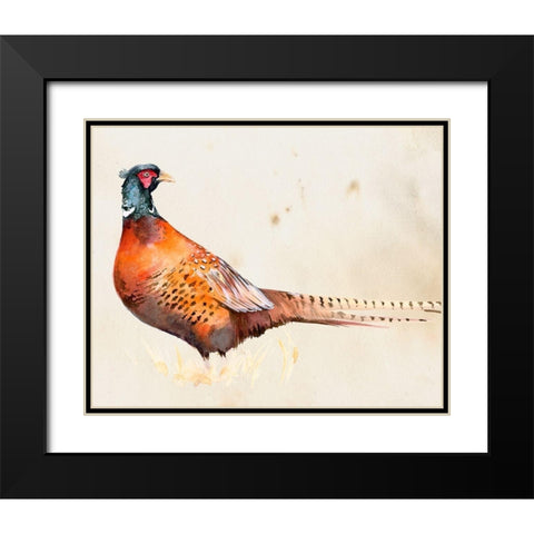 Pheasantry II Black Modern Wood Framed Art Print with Double Matting by Parker, Jennifer Paxton