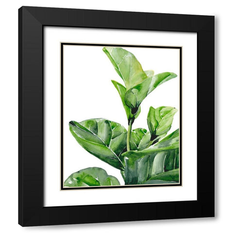 Fiddle Fig I Black Modern Wood Framed Art Print with Double Matting by Parker, Jennifer Paxton