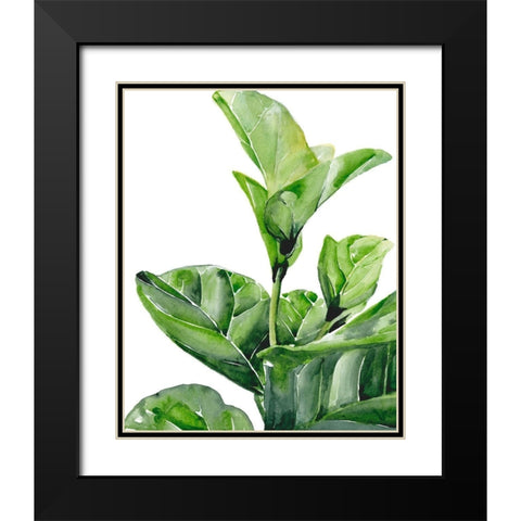 Fiddle Fig I Black Modern Wood Framed Art Print with Double Matting by Parker, Jennifer Paxton