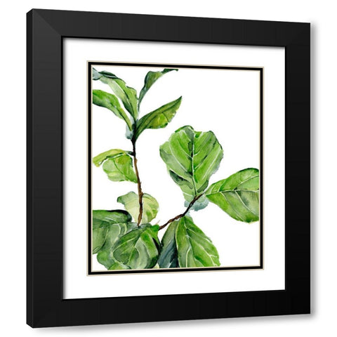 Fiddle Fig II Black Modern Wood Framed Art Print with Double Matting by Parker, Jennifer Paxton