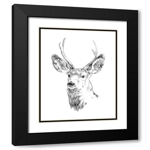 Young Buck Sketch IV Black Modern Wood Framed Art Print with Double Matting by Scarvey, Emma