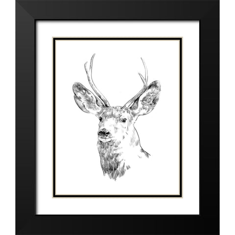 Young Buck Sketch IV Black Modern Wood Framed Art Print with Double Matting by Scarvey, Emma